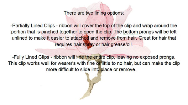 Clip Options